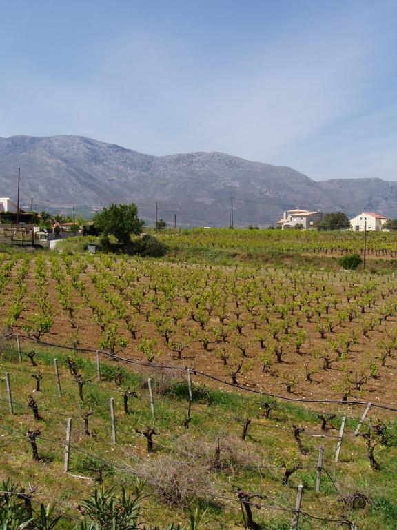 Christina Villas- Minoan Inland Πενταμόδι Εξωτερικό φωτογραφία